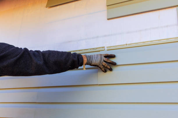 Best Brick Veneer Siding  in Boron, CA